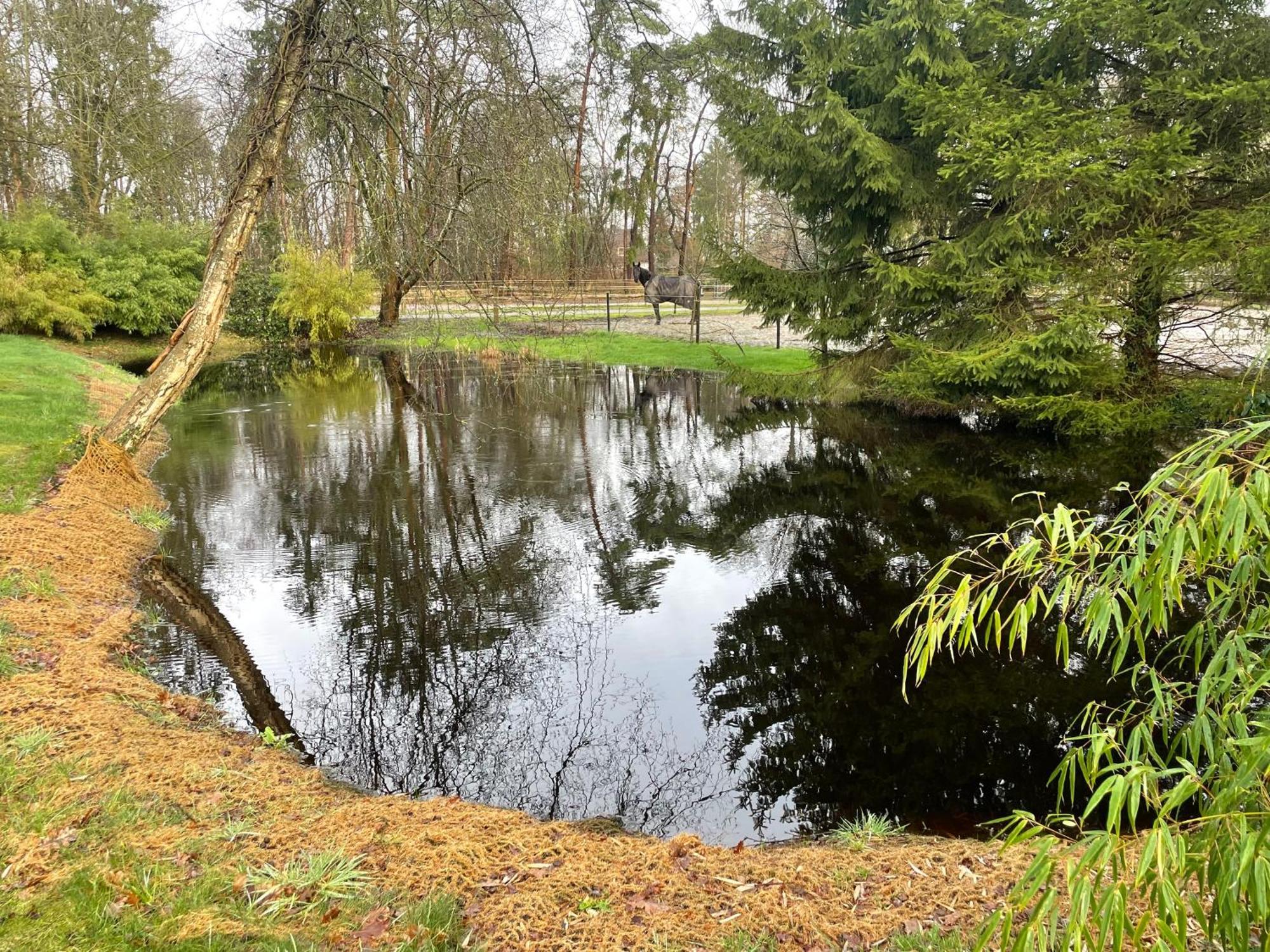 Haus Am Teich Daire Worpswede Dış mekan fotoğraf