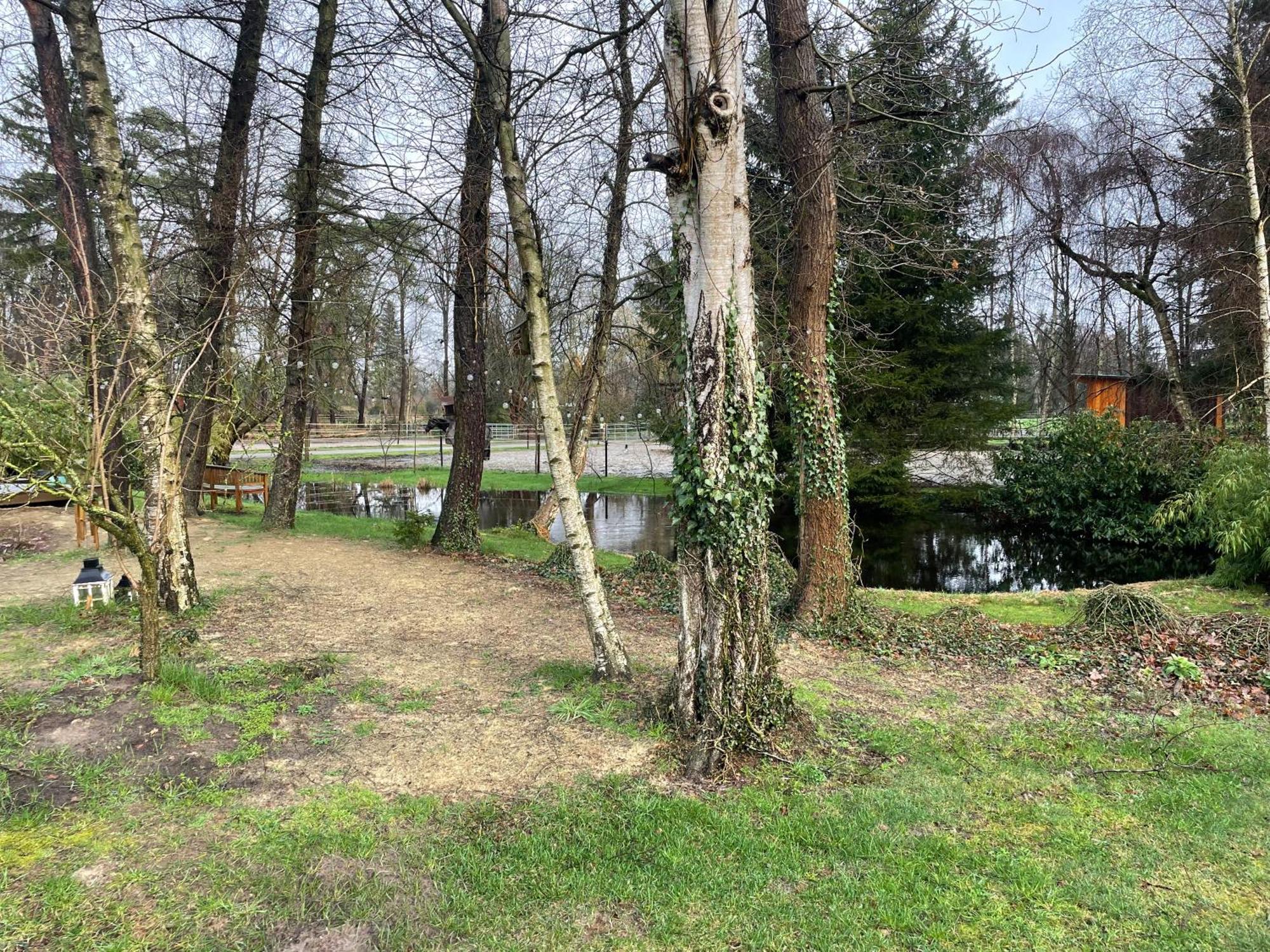 Haus Am Teich Daire Worpswede Dış mekan fotoğraf